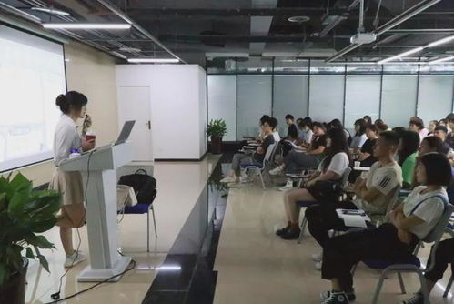 內江軟件與信息技術服務外包產業園首屆服務外包行業交流分享會 聚焦技術服務，共繪發展新藍圖